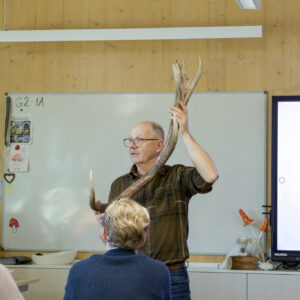 1-IMG_7071